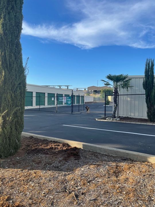 A parking lot with a building in the background and a palm tree in the foreground.
