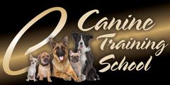 Canine Training School Provides Expert Dog & Puppy Training In Cairns