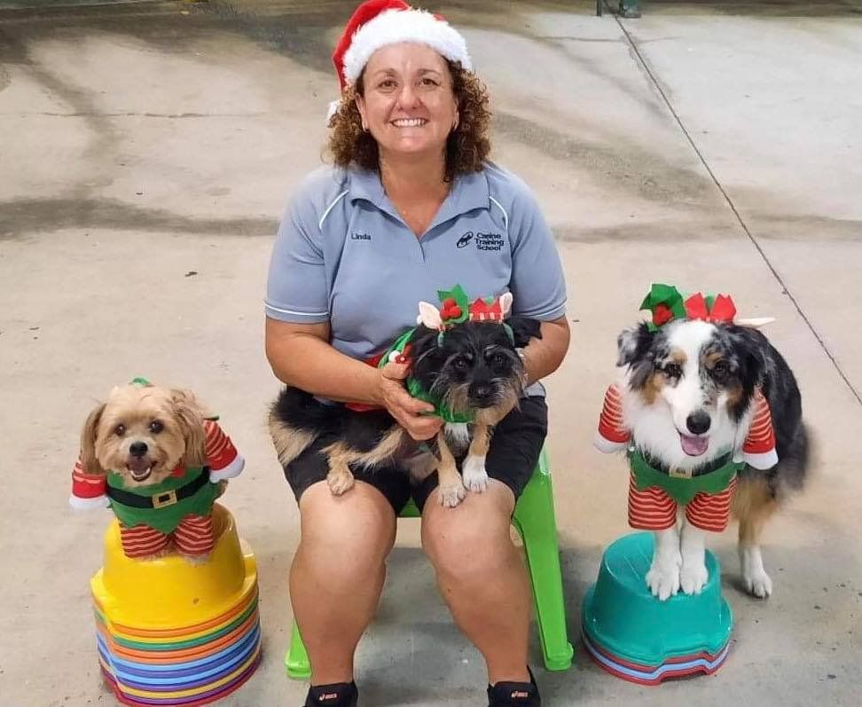 Linda And Dogs Wearing Christmas Hats — Canine Training School In Cairns, QLD