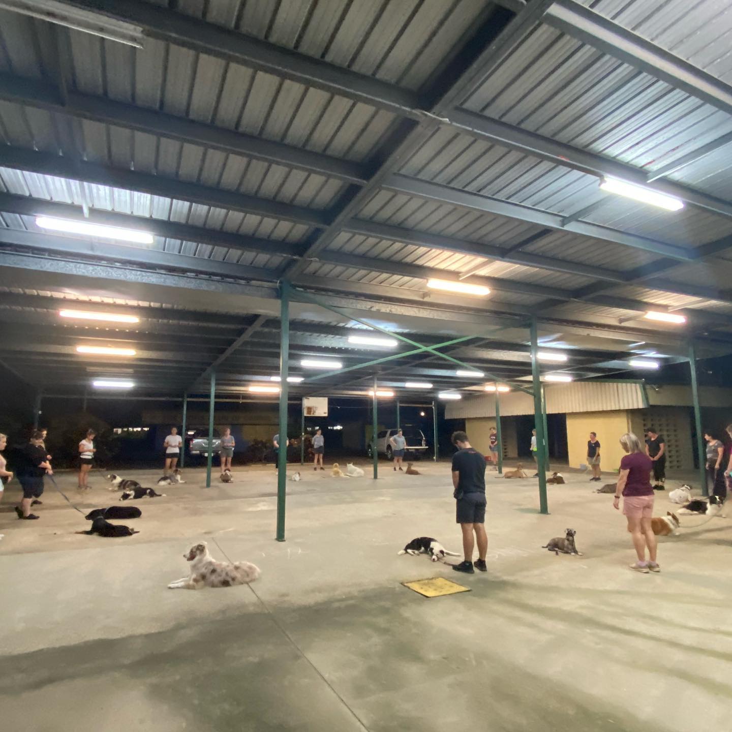 A Group Of People Are Playing With Dogs In A Large Building — Canine Training School In Cairns, QLD