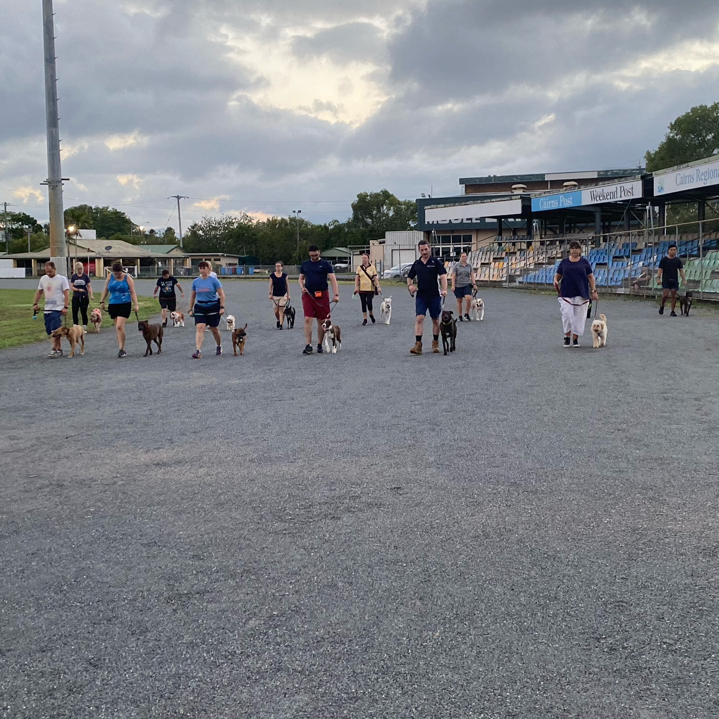 A Group Of People Walking Their Dogs On A Gravel Road — Canine Training School In Cairns, QLD