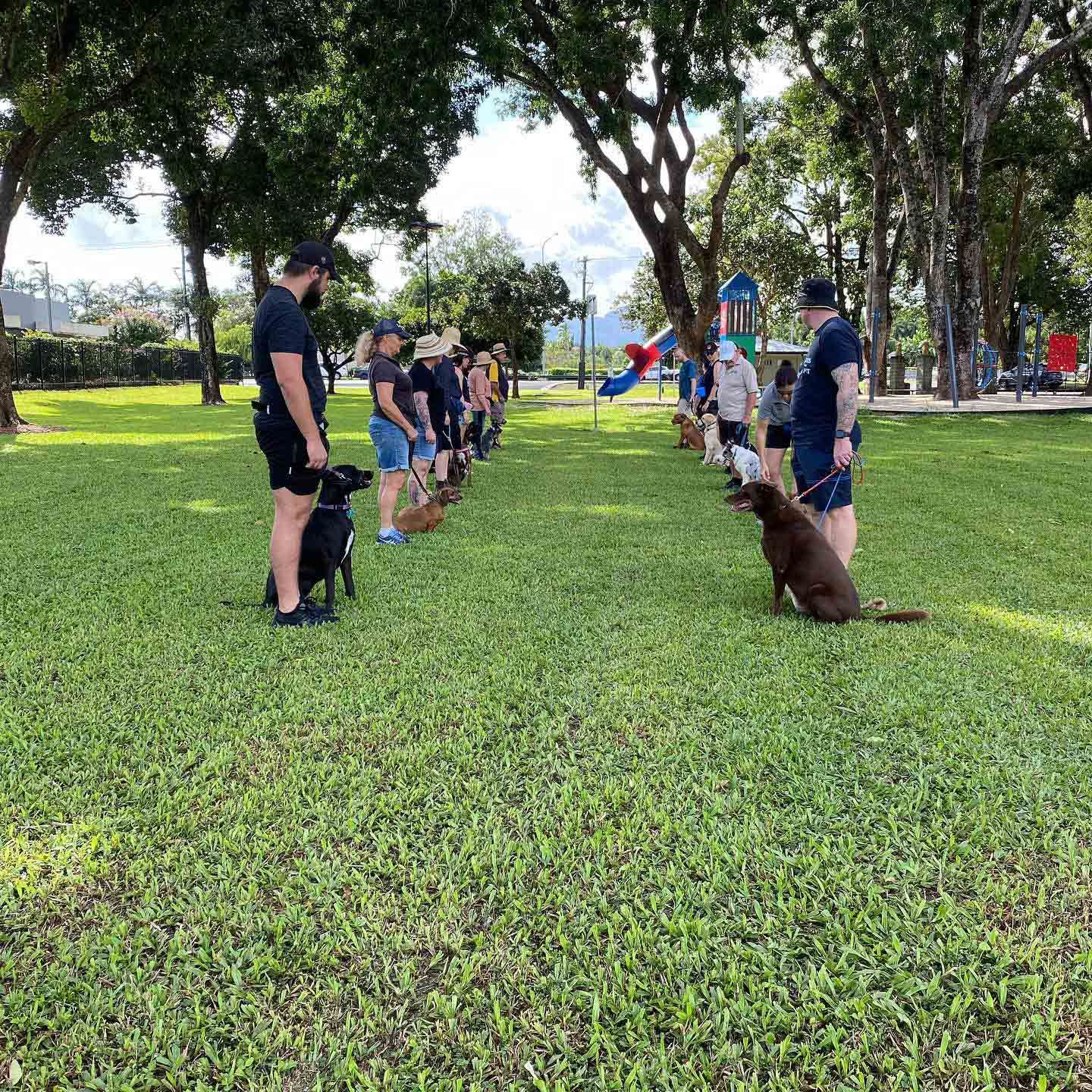 A Group Of People Are Standing In A Park With Their Dogs — Canine Training School In Atherton Tablelands, QLD