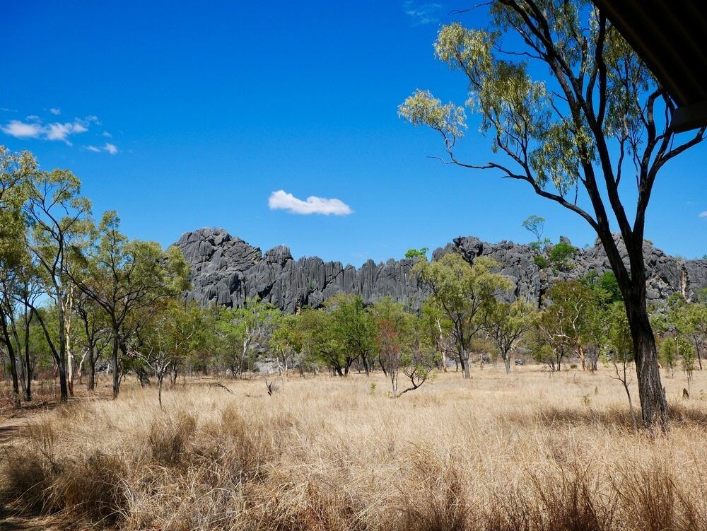 A Field With Trees And Mountains In The Background — Canine Training School In Gordonvale, QLD
