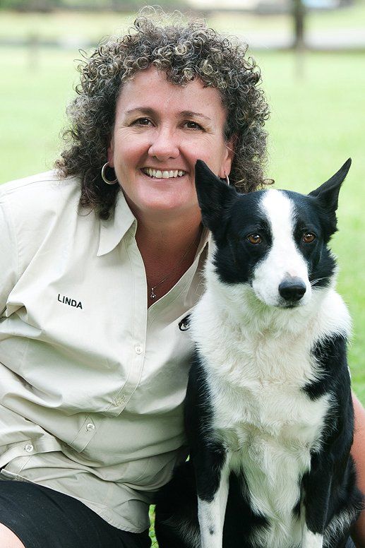 Trainer And Dog At Canine School— Canine Training School In Cairns, QLD