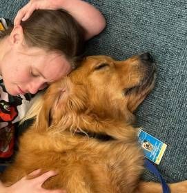 Two Adorable Dogs Wearing Bandanas — Canine Behavioural Consultations in Cairns, QLD