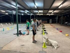 A Black And White Dog Is Sitting On A Blue Mat On A Leash — Canine Training School In Cairns, QLD