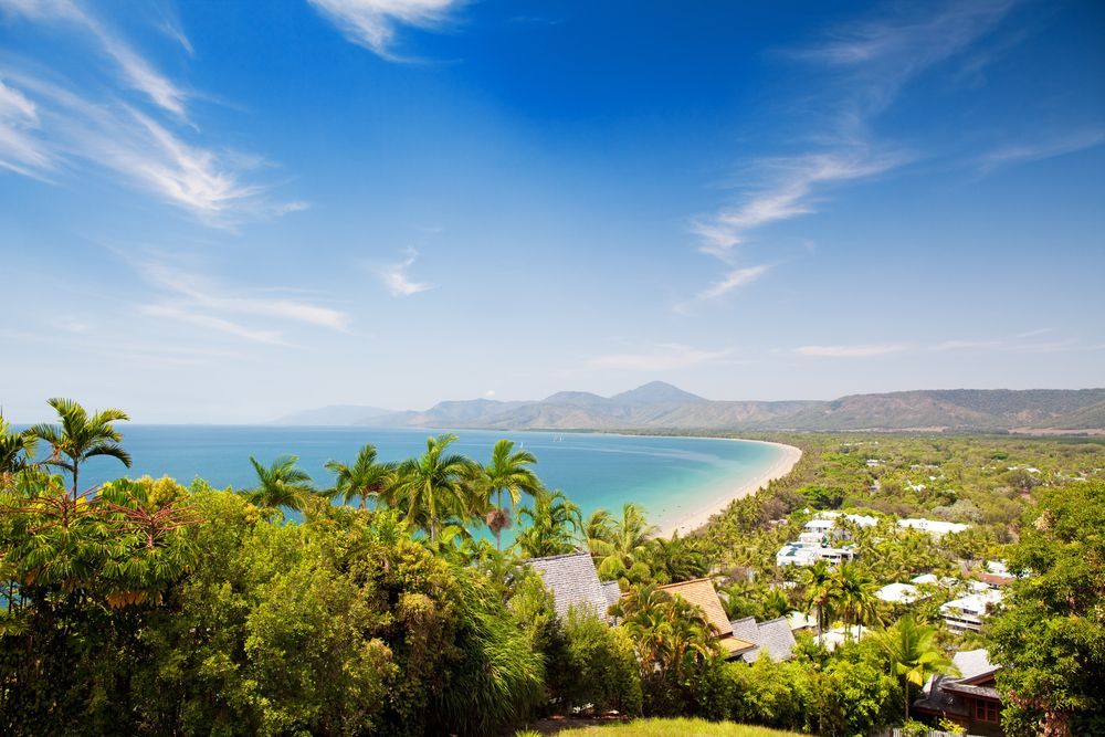 A View Of A Beach From A Hill With Trees And Mountains In The Background — Canine Training School In Port Douglas, QLD