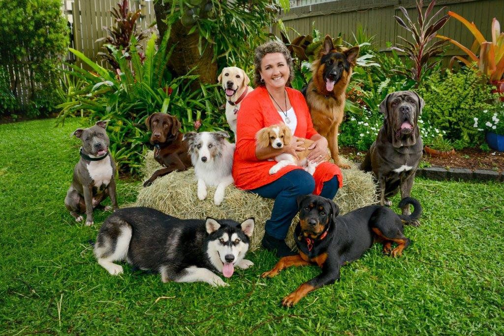 A Woman Is Sitting On A Hay Bale Surrounded By Dogs — Canine Training School In Cairns, QLD