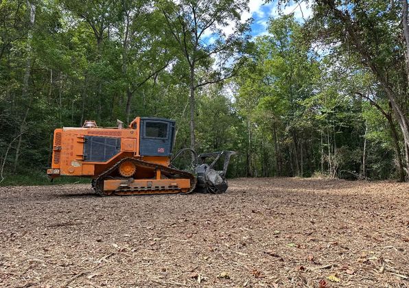 Forestry Mulching Services — Milton, KY — B&N Land Management LLC