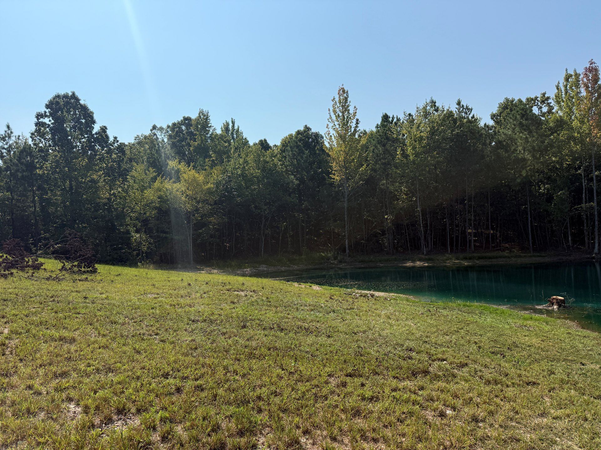 Grassy field leading to trees and a blue pond under a clear, sunny sky.