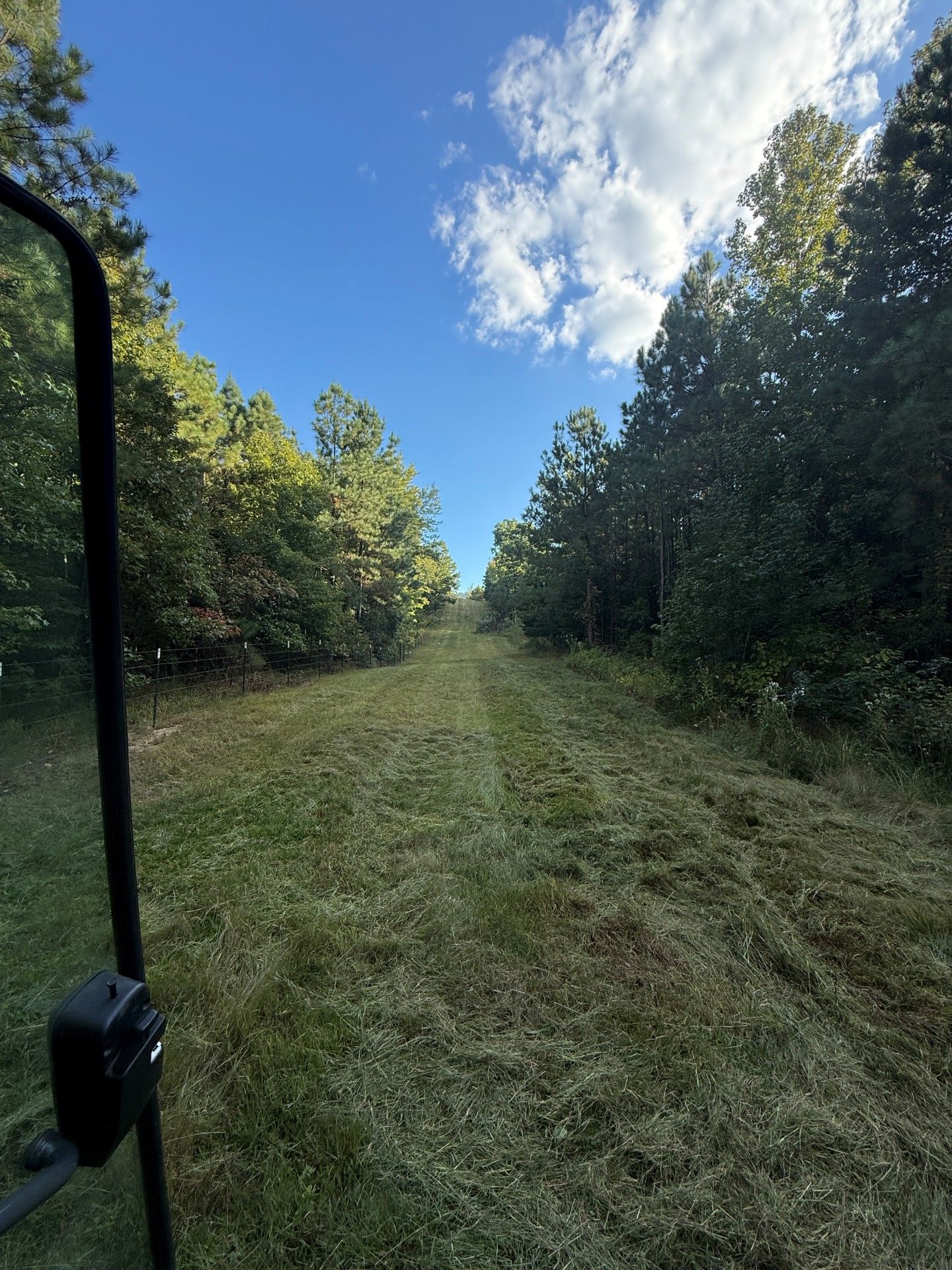 Grassy path through a forest, trees on both sides, blue sky with clouds.