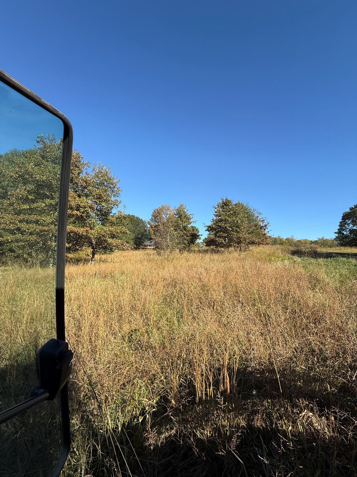 View from a vehicle window of tall dry grass, trees under a clear blue sky.