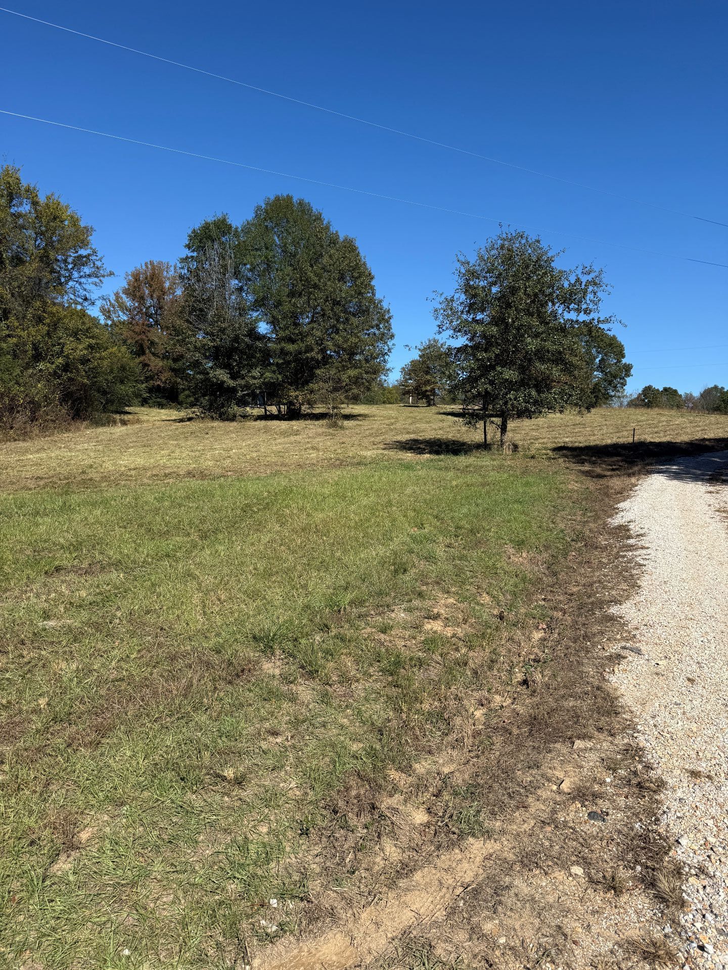 Grassy field with trees under a blue sky. A gravel path is on the right.