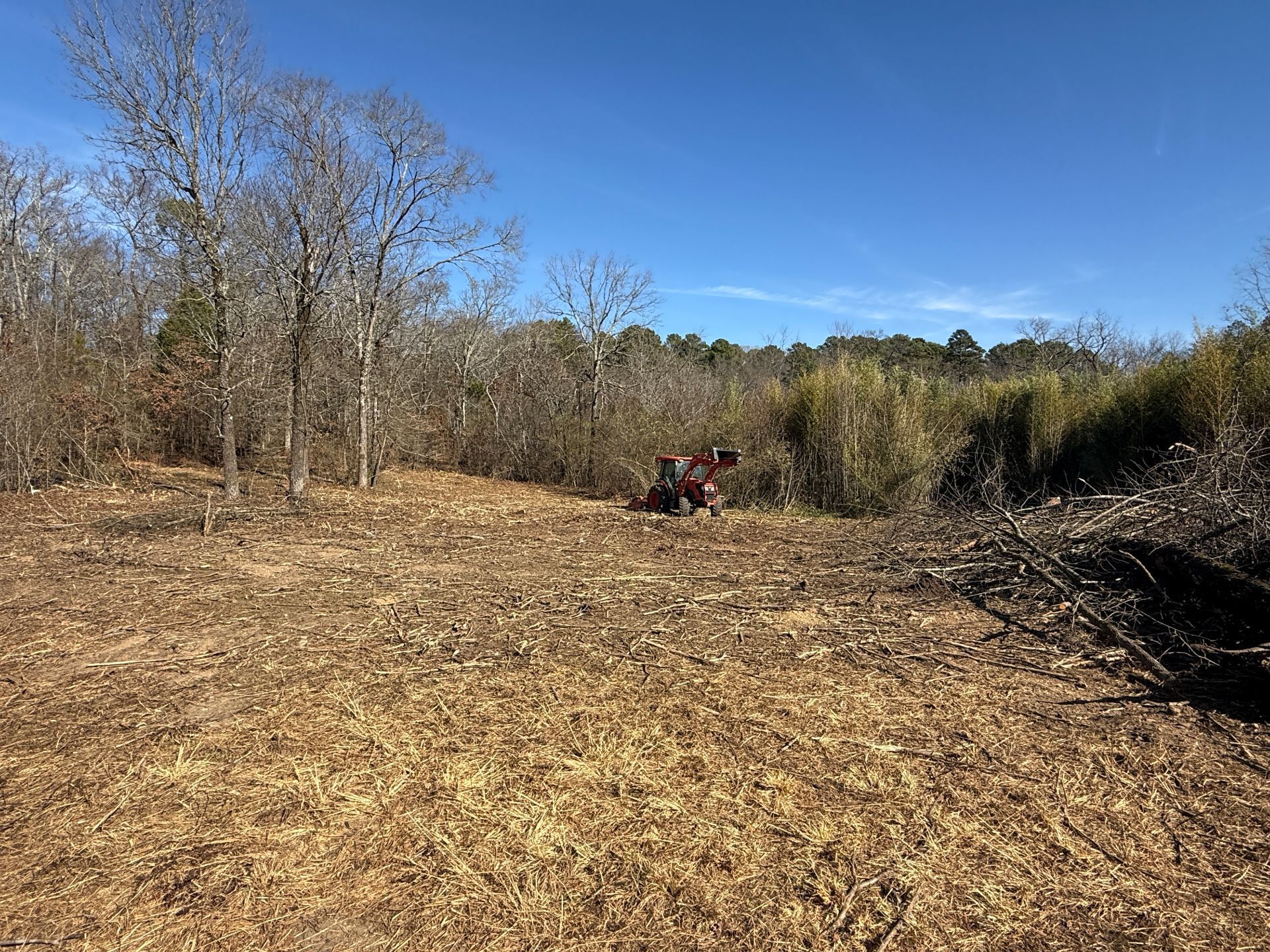 Clearing in a field, with a tractor and trimmed branches; trees and blue sky.