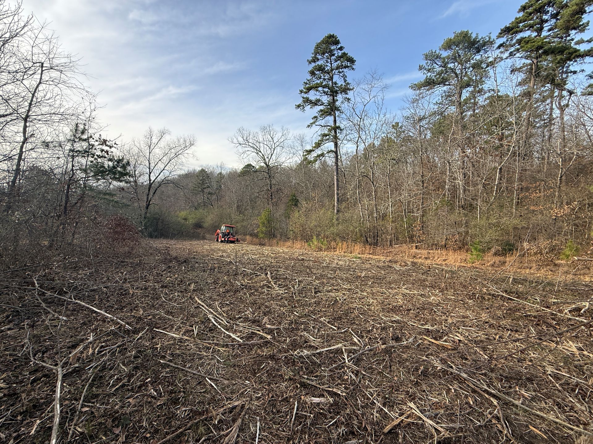 Cleared land in forest with tractor in the distance; branches and debris on the ground.