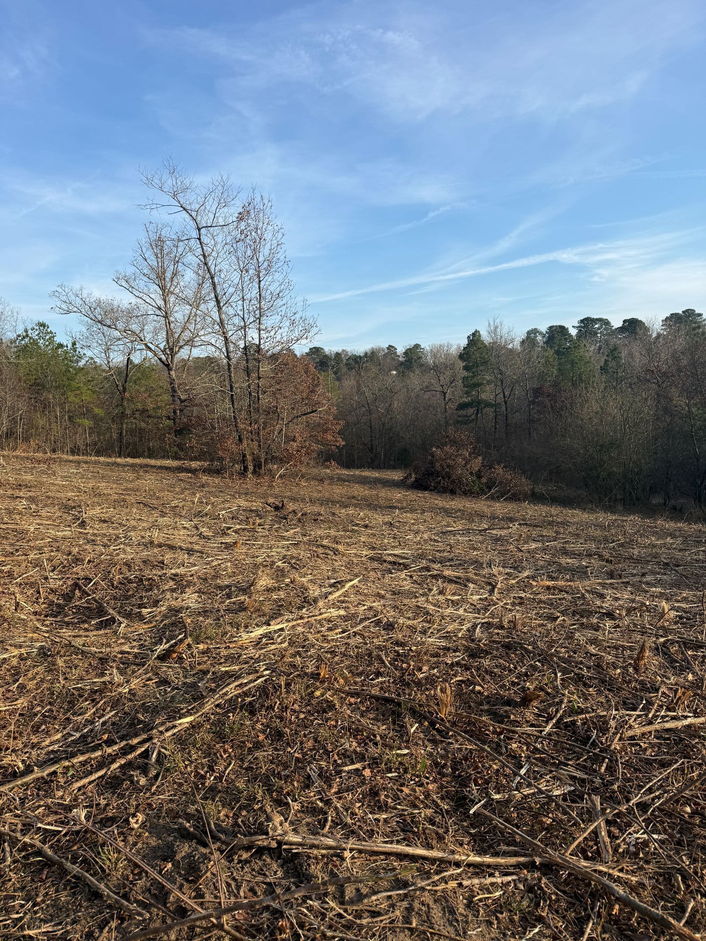 Field with brown debris, trees, and blue sky.