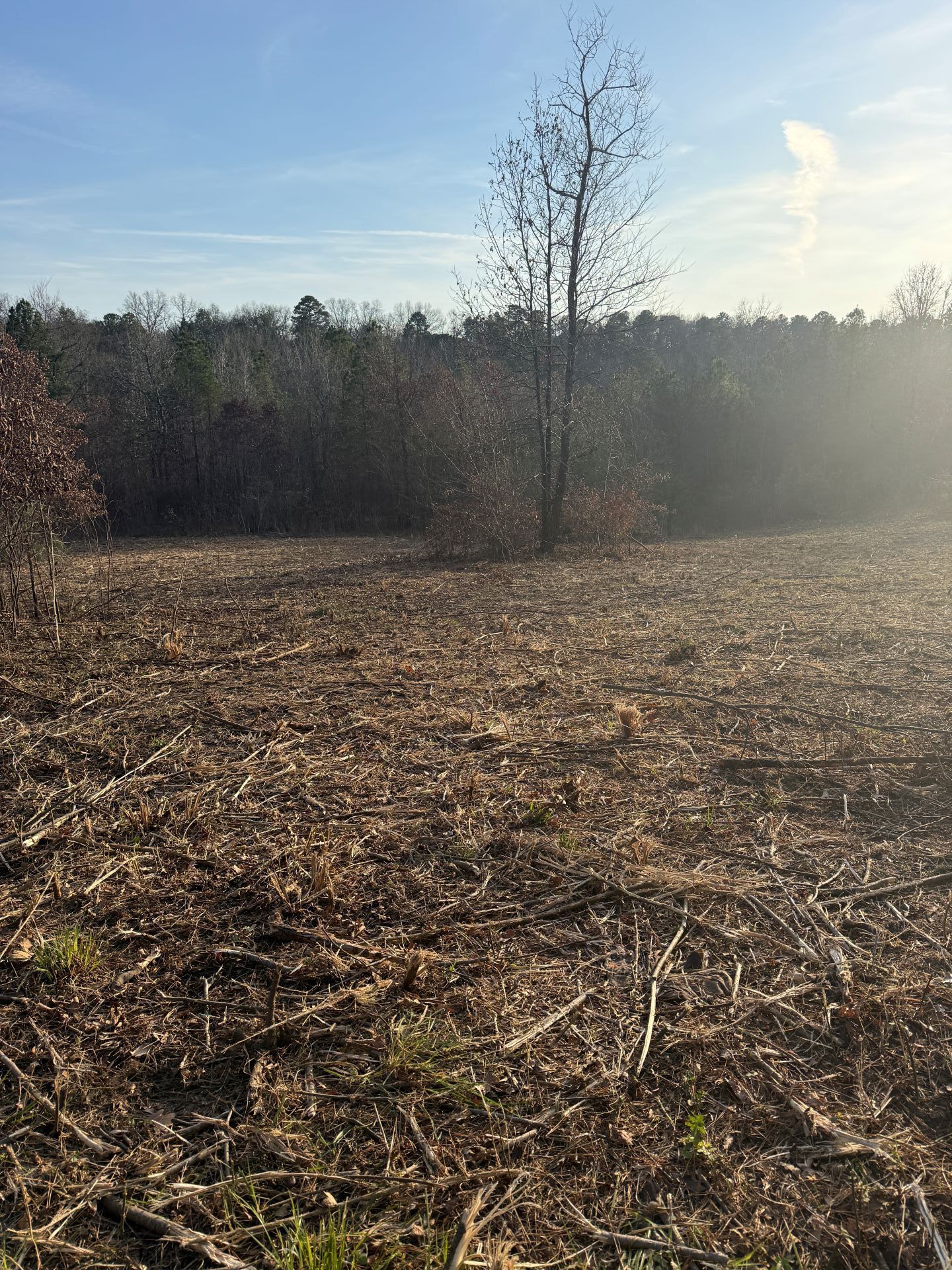 Field cleared of brush with bare trees, woods in background under a blue sky.