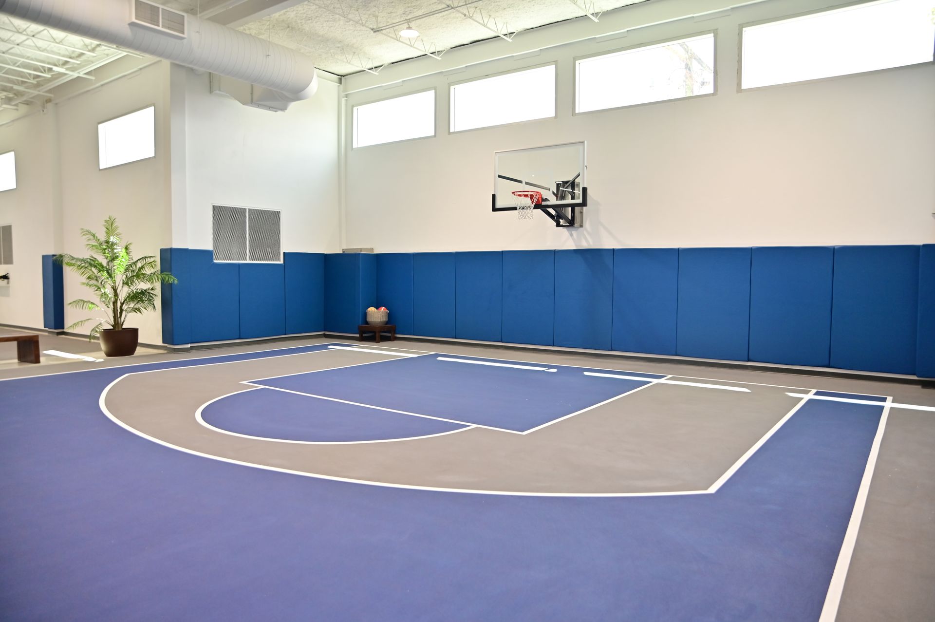 Indoor basketball court with blue and gray floor and padded blue walls, hoop, and windows.