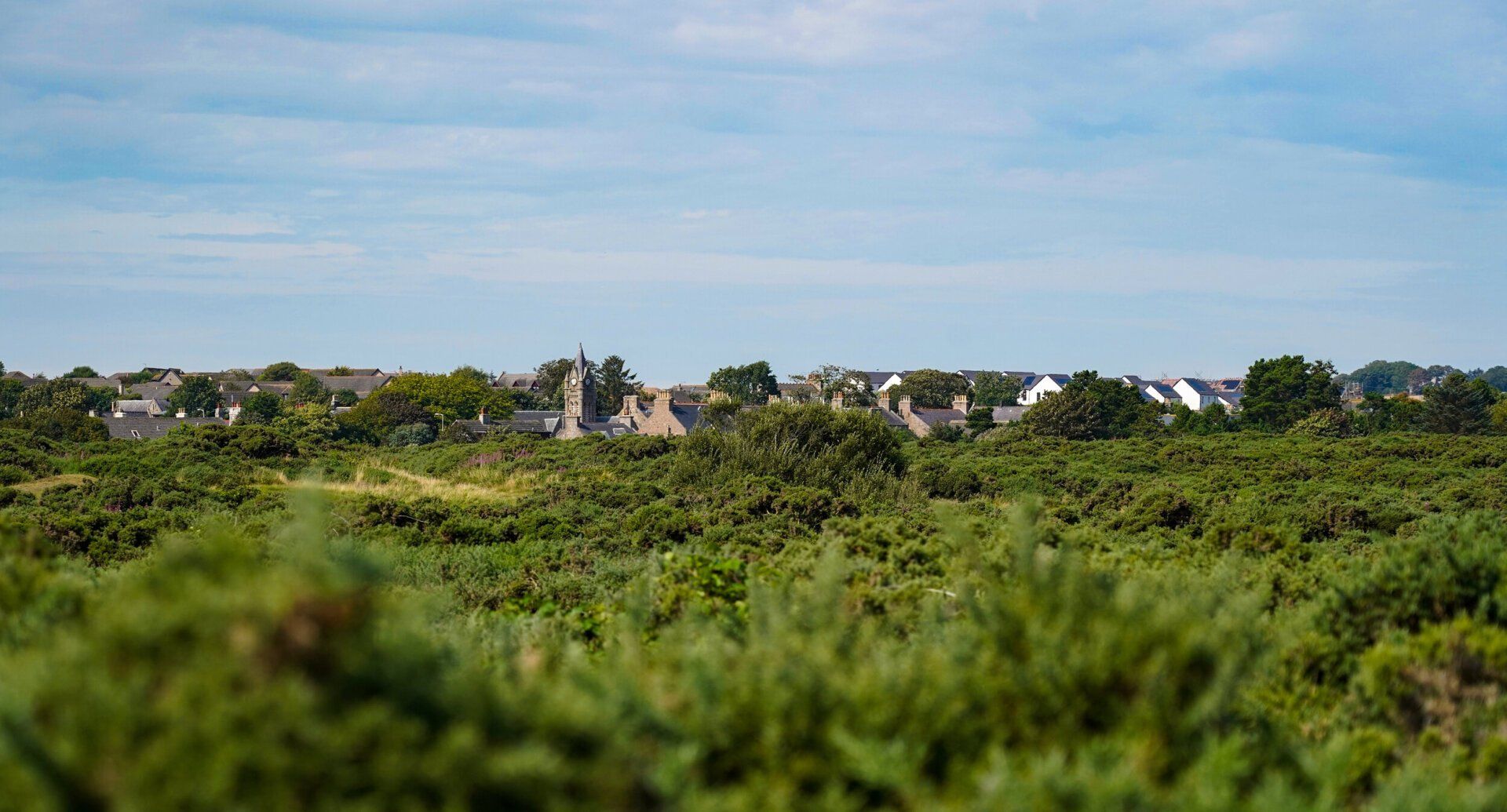 Horisontti, valokuva