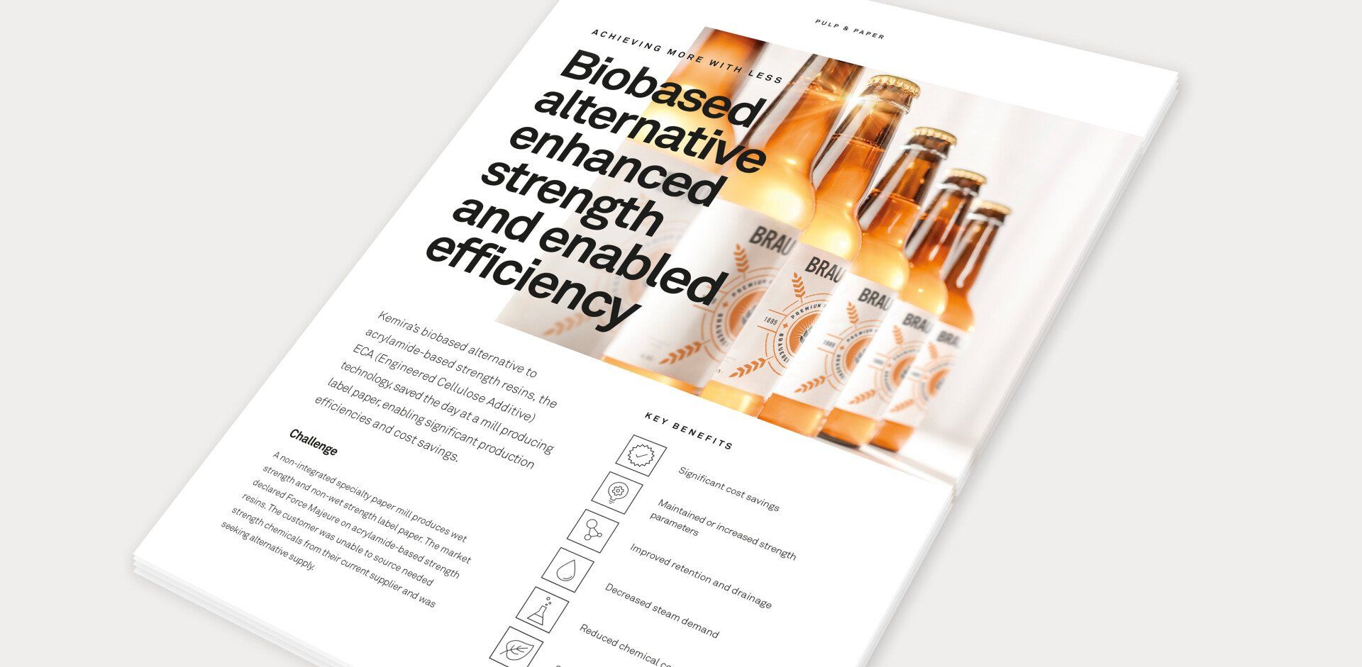 Kemira - pulp & paper - case - esite