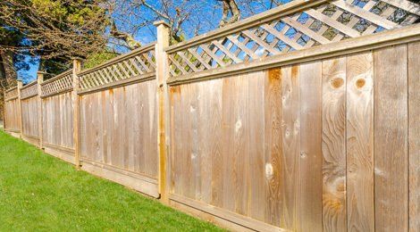 trellis topped panel fencing
