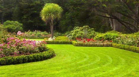 beautifully maintained gardens with well stocked borders