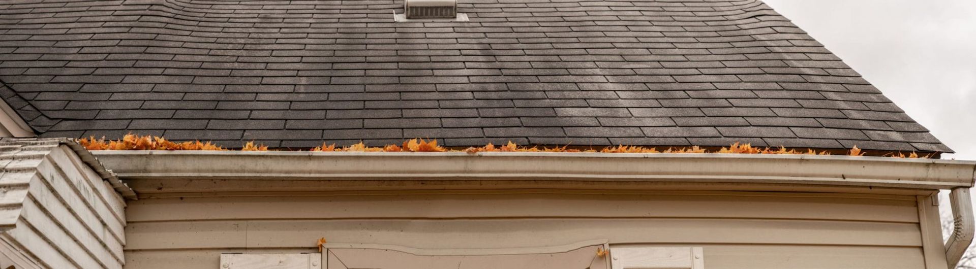 Professional Gutter cleaning servcies for hire