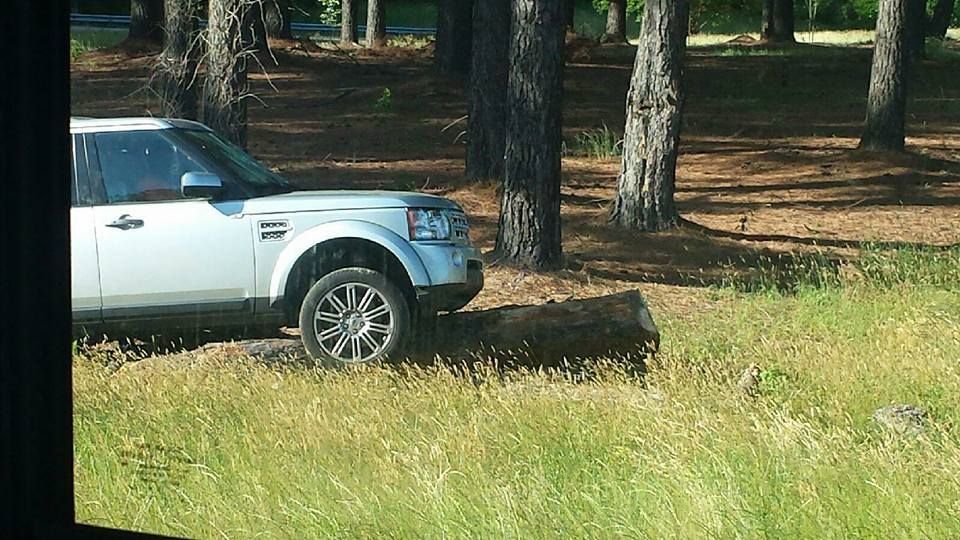 Silver SUV parked in a grassy area next to trees.