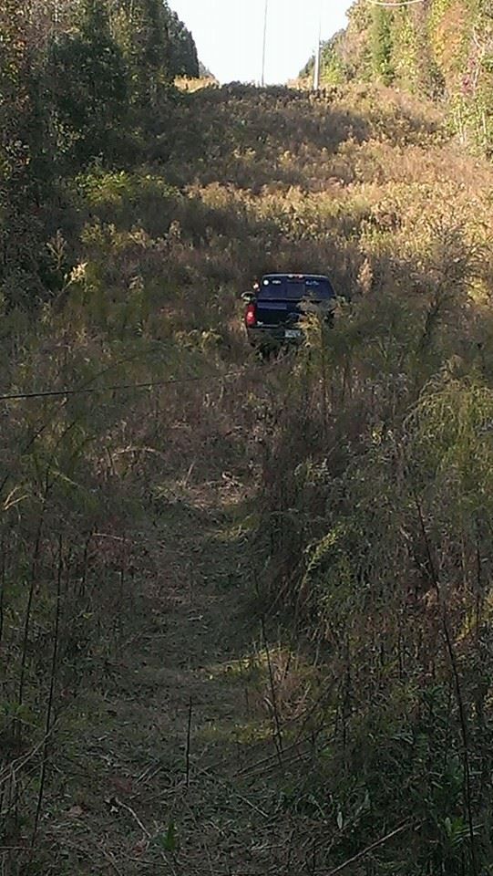 A dark SUV stuck in tall overgrown brush on the side of a road.