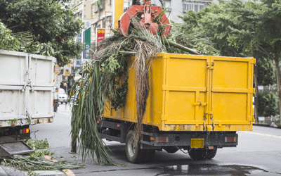 garden waste