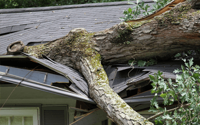 Storm damage recovery services