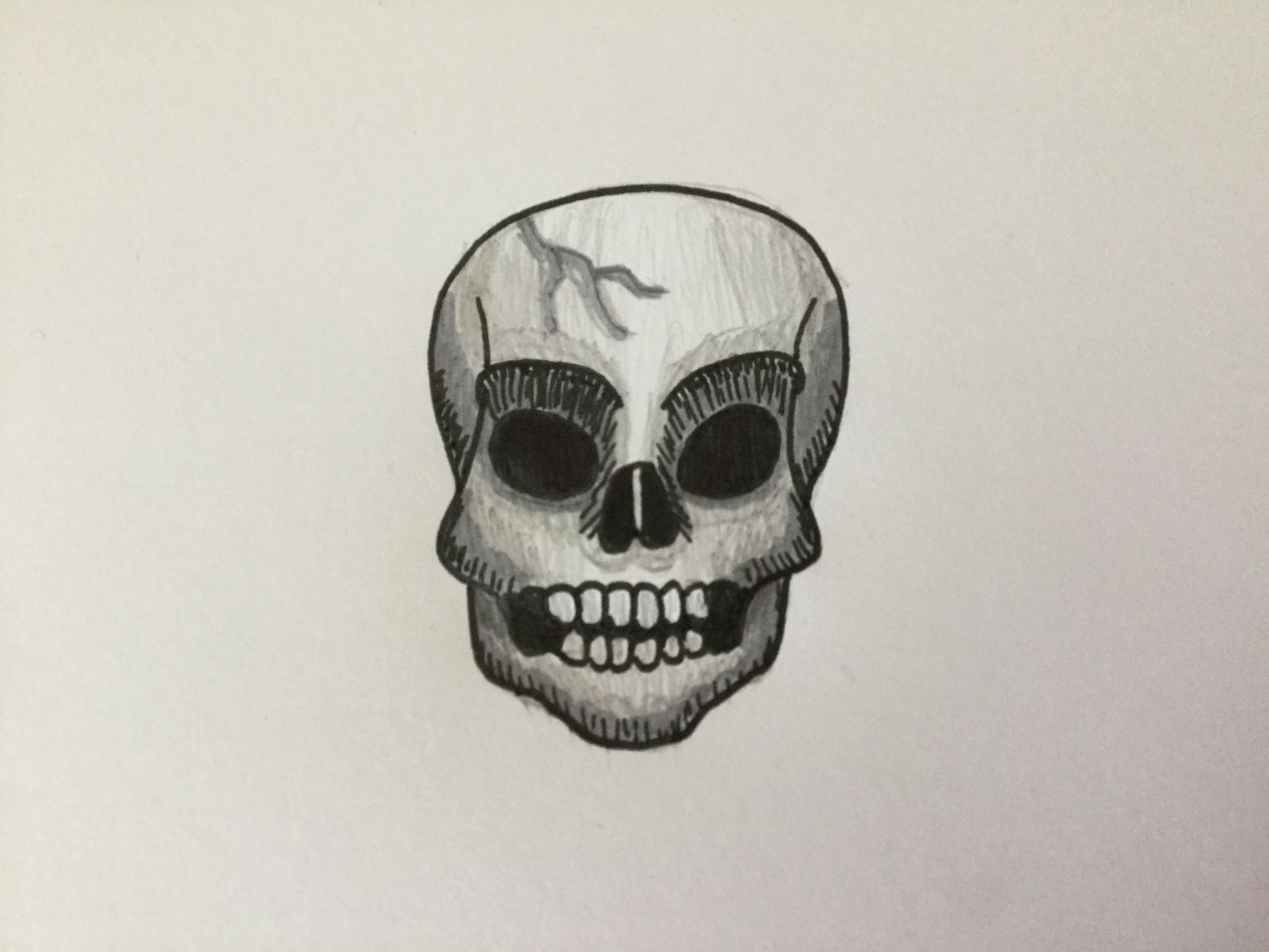 Black and white drawing of a human skull, shaded with gray, detailed eye sockets, teeth, and a crack on the head.