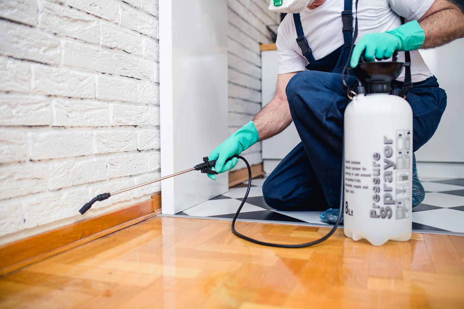 Pest control worker spraying baseboard in a home, wearing gloves and using a white sprayer bottle Pest control worker spraying baseboard in a home, wearing gloves and using a white sprayer bottle