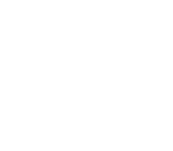 Paint Smart Solutions