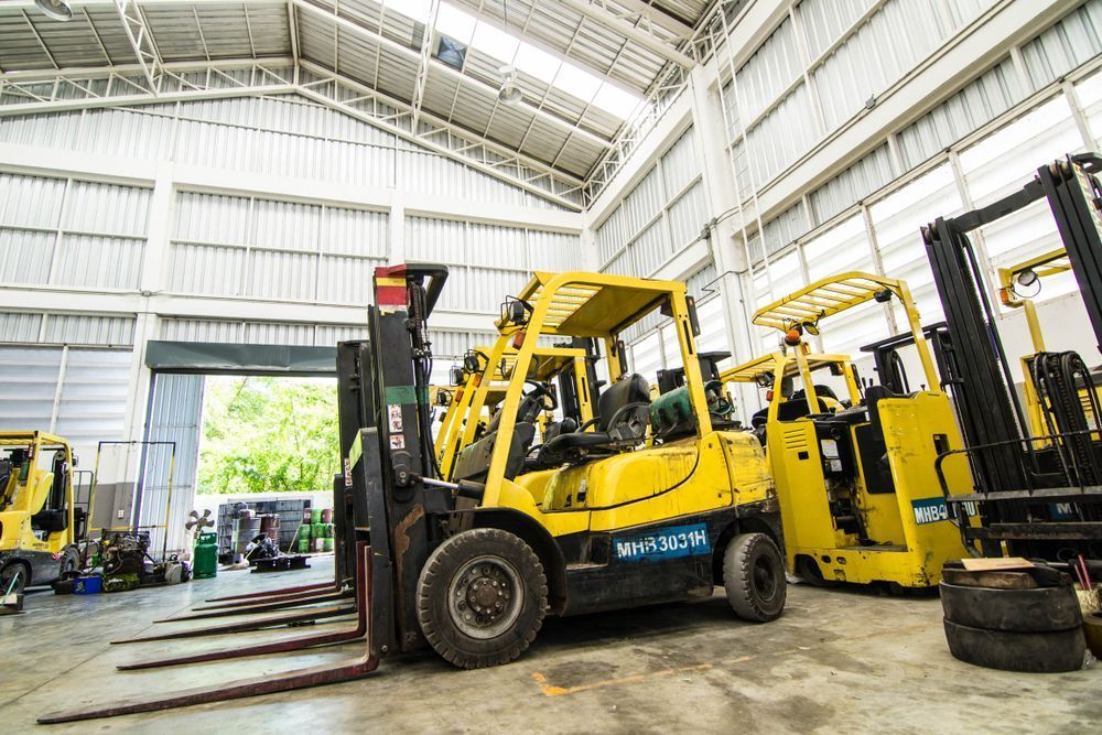 A Row of Yellow Forklifts Are Parked in a Warehouse — Rowdraulics NQ Pty Ltd in Mount Louisa, QLD