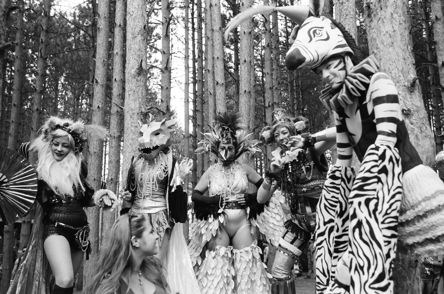 A group of people dressed in costumes are standing in the woods.