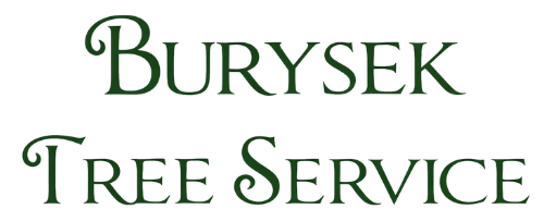 Logo for Burysek Tree Service in dark green script.