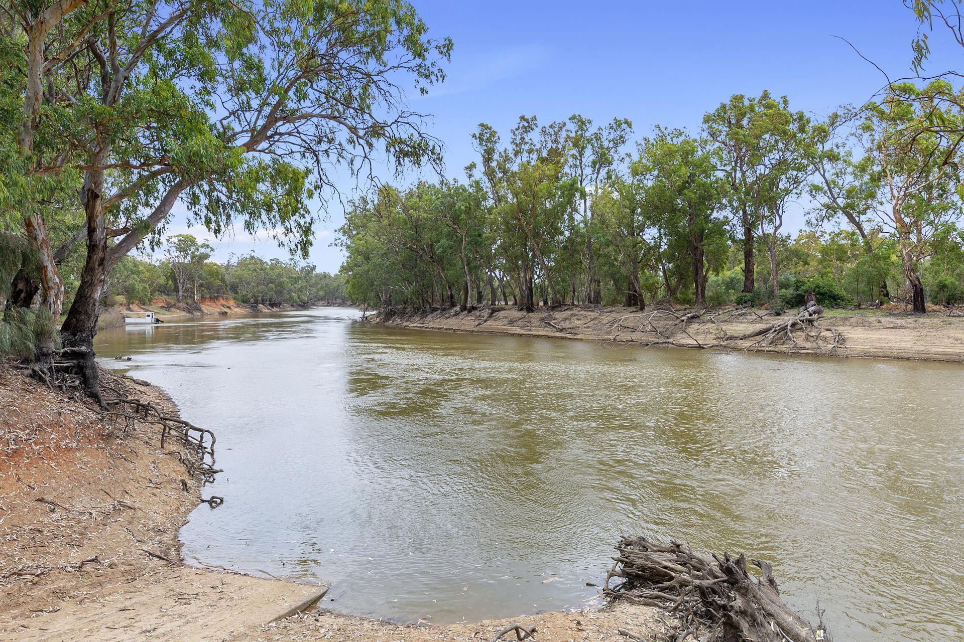 Murray River 2