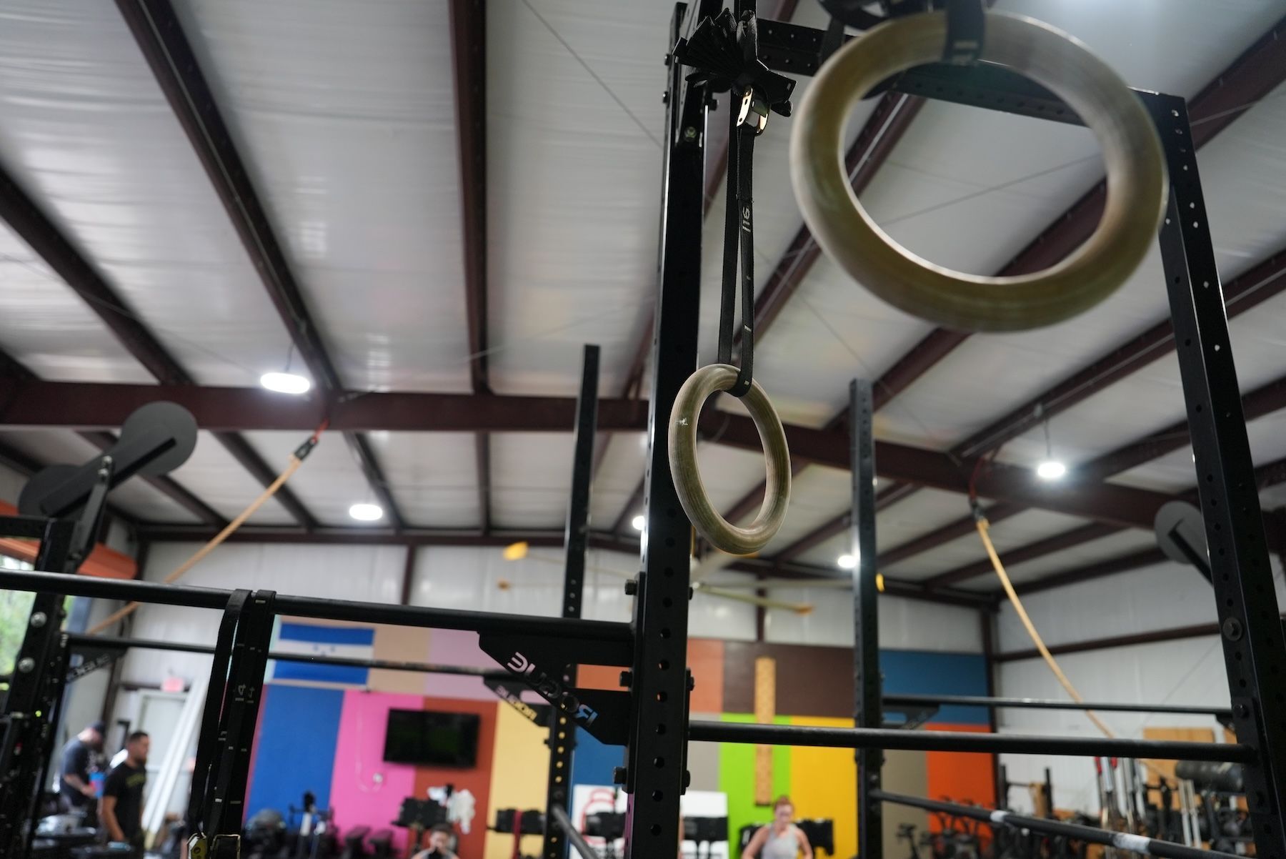 A gym with a bunch of rings hanging from the ceiling
