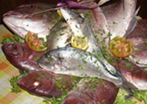 pesce fresco
