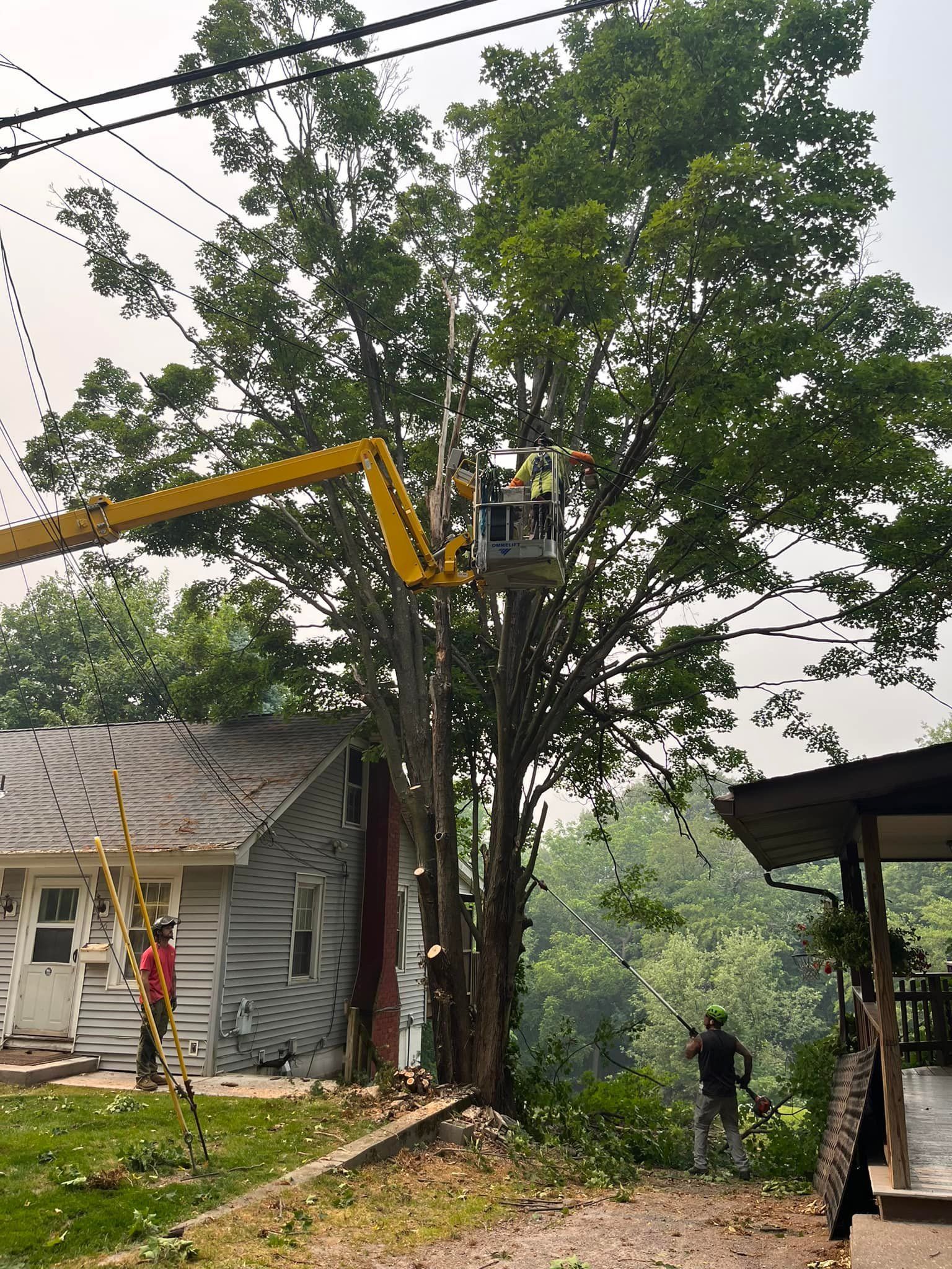 A man is cutting a tree with a crane in front of a house.