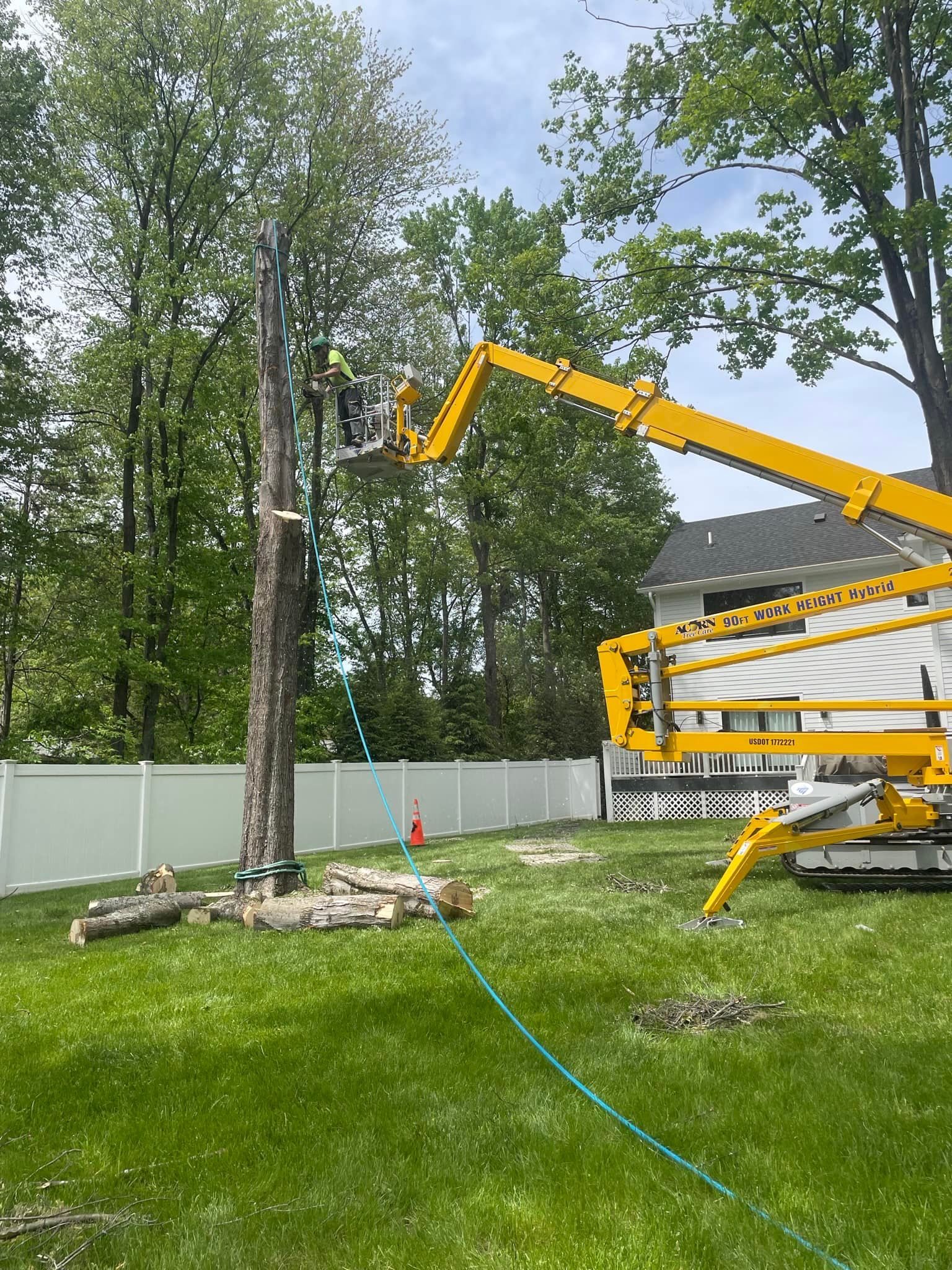 A crane is cutting down a tree in a backyard.