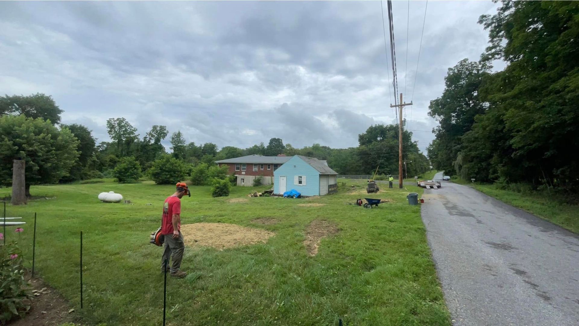 A man is standing in a grassy field next to a road.