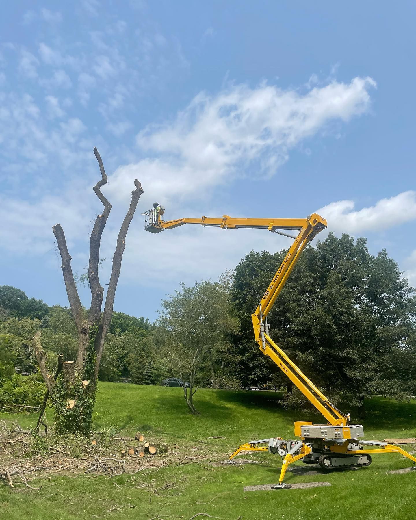 A yellow crane is cutting a tree in a field.