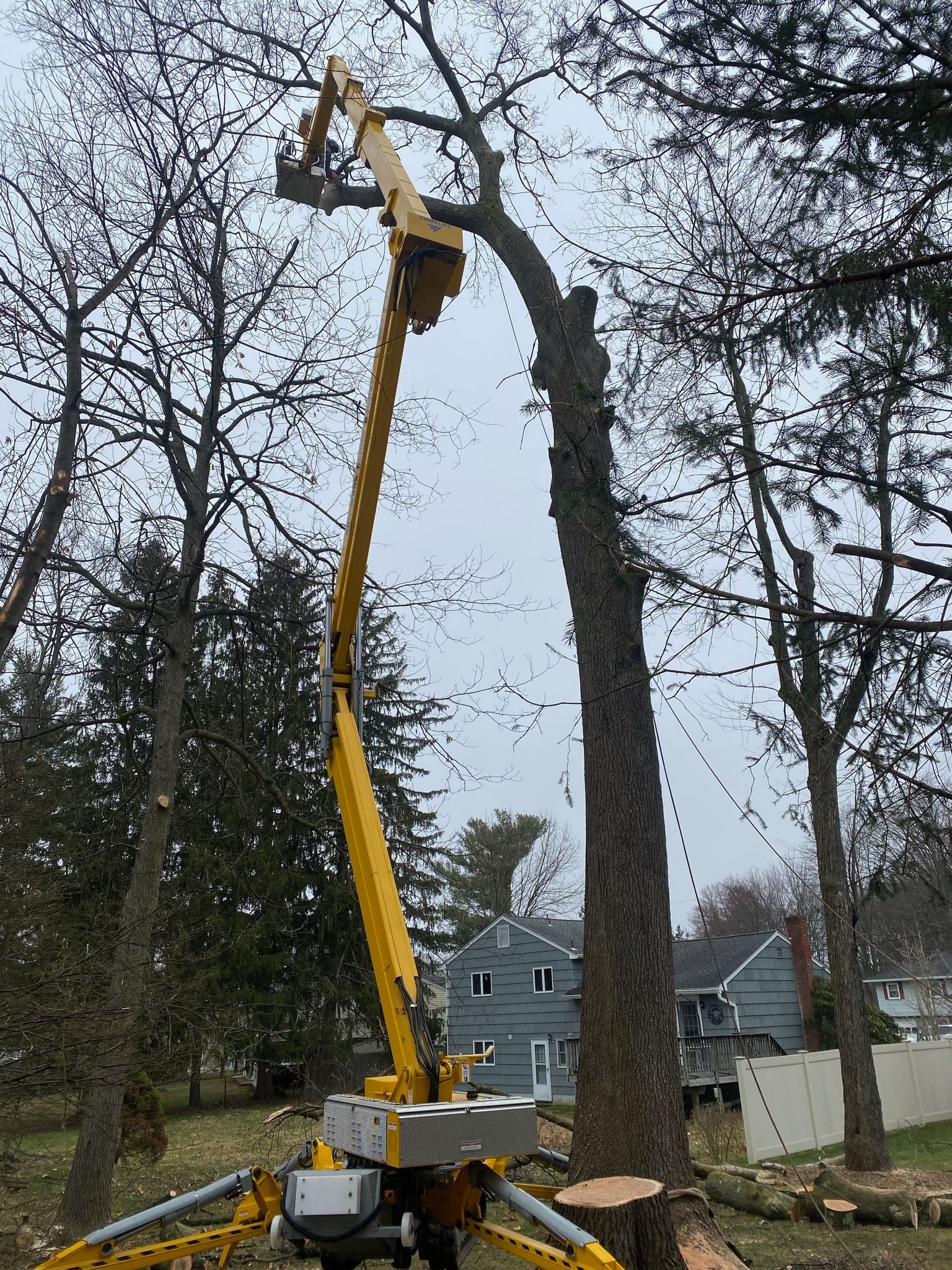 A crane is cutting down a tree in a yard.