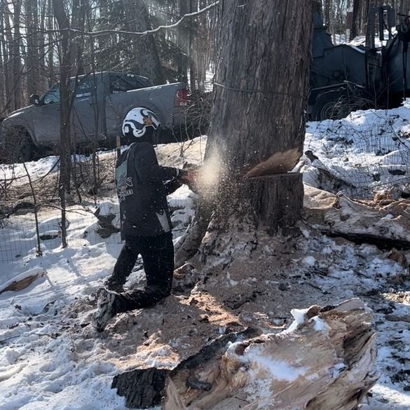 A man is cutting a tree with a chainsaw in the snow
