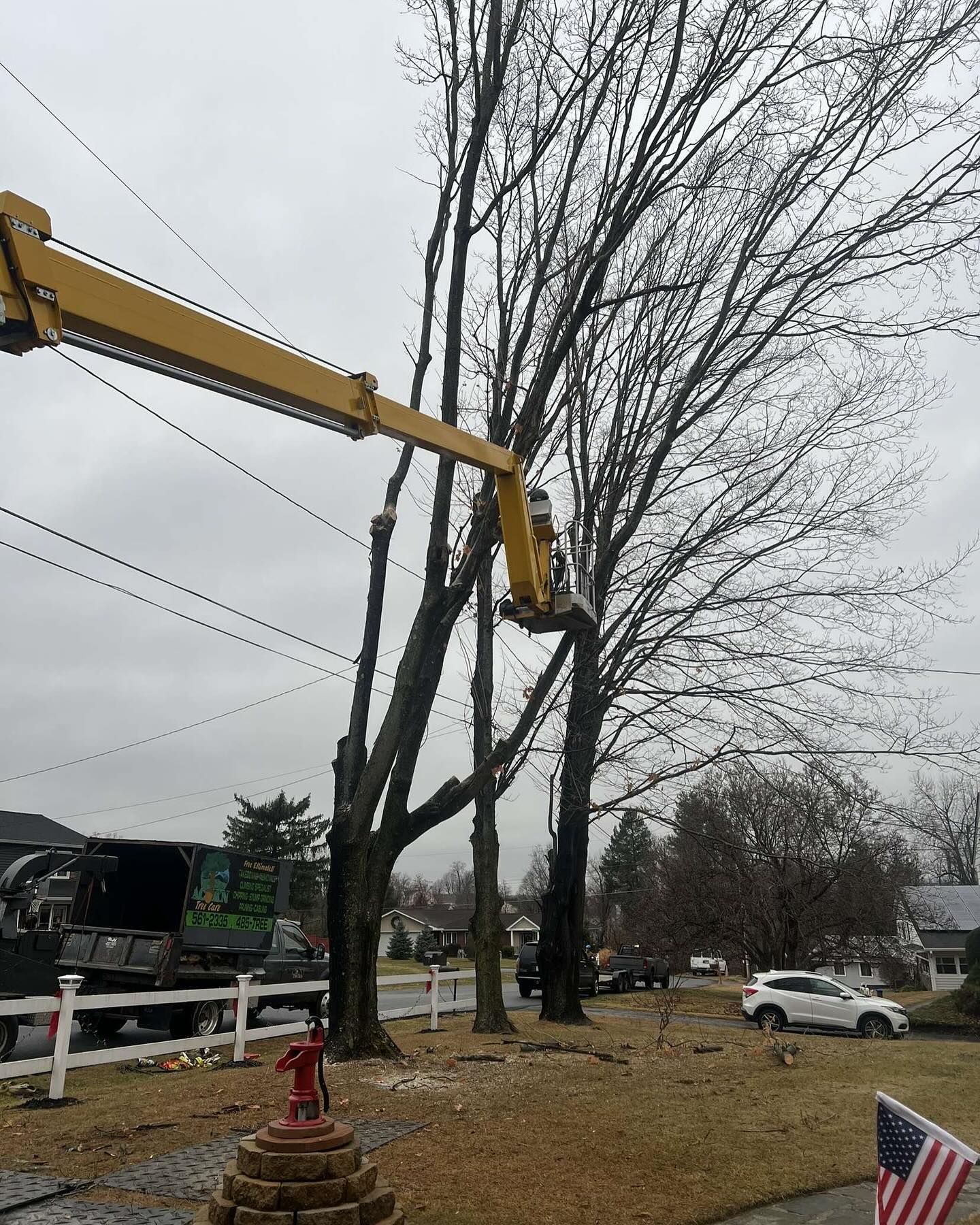 A man is cutting a tree with a crane in a yard.