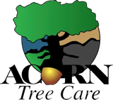 Acorn tree care logo with a tree and an acorn