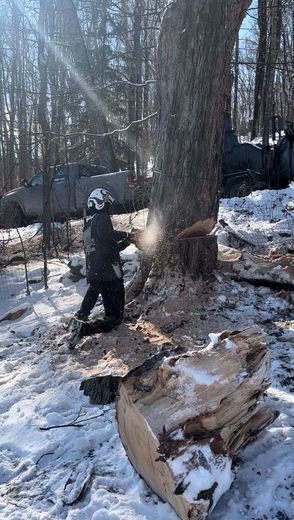 A man is cutting a tree with a chainsaw in the snow.