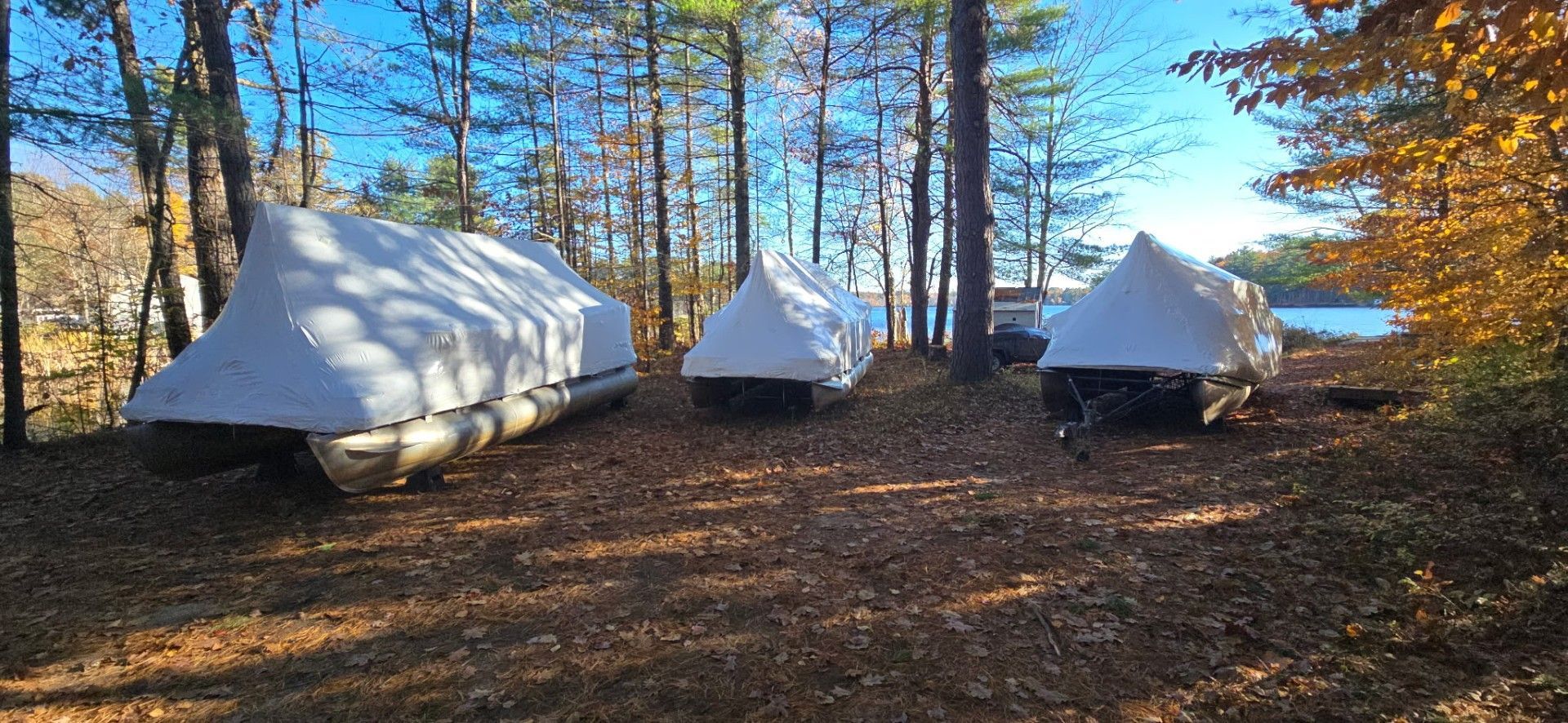 Three boats covered in white tarps, nestled among trees, leaves on the ground. A body of water is visible in the background.